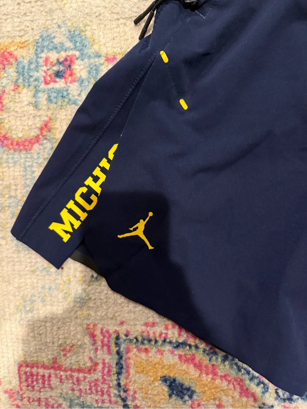 Jordan Men's Michigan Shorts